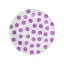 Pöttyös Lavender Polka Dots papírtányér 6 db-os 18 cm