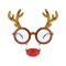 Szarvas Reindeer szemüveg piros orral