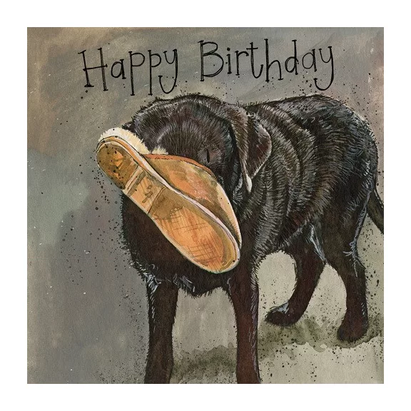 Képeslap Alex Clark borítékkal, 14x14 cm, Labrador papuccsal HBD Képeslap Alex Clark borítékkal, 14x14 cm, Labrador papuccsal HBD