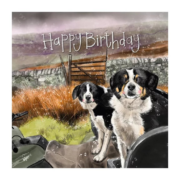 Képeslap Alex Clark borítékkal, 14x14 cm, Border Collie HB Képeslap Alex Clark borítékkal, 14x14 cm, Border Collie HB