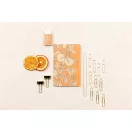 Kollekció Clairefontaine Jardin des Sens jegyzetfüzet, ceruza, binder csipesz, kapocs, radír Kollekció Clairefontaine Jardin des Sens jegyzetfüzet, ceruza, binder csipesz, kapocs, radír