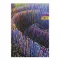 Határidőnapló Period Abstract A/5 napi Mystic papír 2027