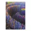 Határidőnapló Period Abstract A/5 napi Mystic papír 2027