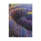 Határidőnapló Period Abstract B/6 heti Mystic papír 2027