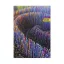 Határidőnapló Period Abstract B/6 heti Mystic papír 2027
