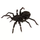 3D papírmodell Fridolin Pók 3D papírmodell Fridolin Pók