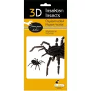 3D papírmodell Fridolin Pók 3D papírmodell Fridolin Pók