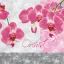 Orchidea Romantic szalvéta 20 db-os 33x33 cm