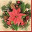 Karácsony Red Poinsettia szalvéta 20 db-os 33x33 cm