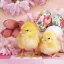 Húsvét Lovely Chickens szalvéta 20 db-os 33x33 cm