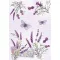 Levendula Butterfly A/4 gumis mappa