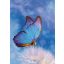 Természet Butterfly A/4 gumis mappa