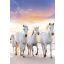 Lovas Gallop A/4 gumis mappa