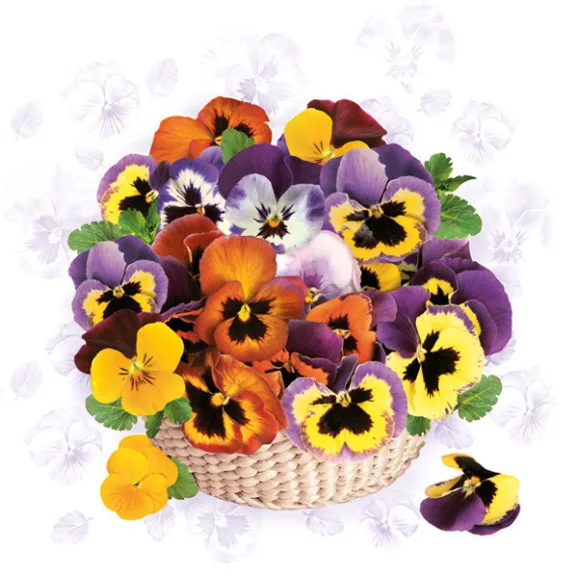 Árvácska Colourful szalvéta 20 db-os 33x33 cm Árvácska Colourful szalvéta 20 db-os 33x33 cm