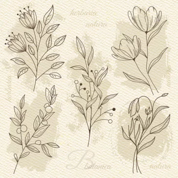 Virág Beige Illustration szalvéta 20 db-os 33x33 cm