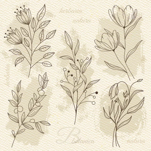 Virág Beige Illustration szalvéta 20 db-os 33x33 cm Virág Beige Illustration szalvéta 20 db-os 33x33 cm