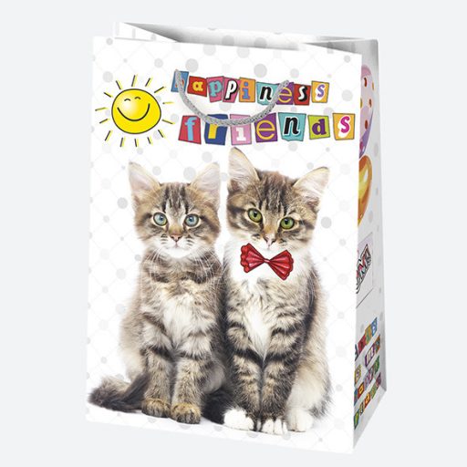 Happy Birthday Friends papír ajándéktasak, ajándékzacskó 23x32x11 cm
