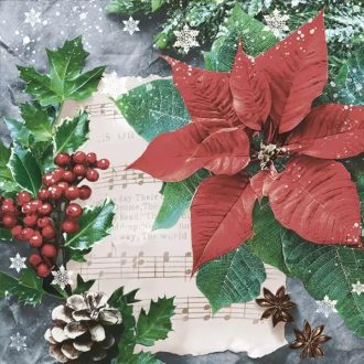   Karácsonyi Poinsettia with Hollyberry szalvéta 20 db-os 33x33 cm