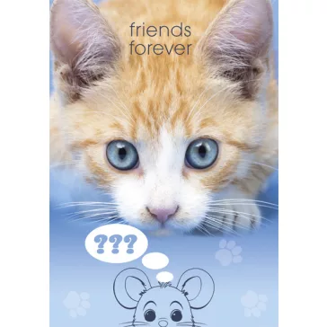 Cicás Friends Forever A/4 gumis mappa