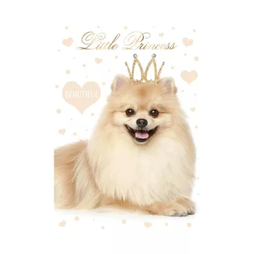 Kutyás Little Princess A/4 gumis mappa