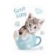 Cicás Sweet Kitty A/4 gumis mappa