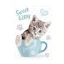 Cicás Sweet Kitty A/4 gumis mappa