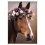 Lovas Wreath A/4 gumis mappa