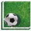 Focis Soccer Field szalvéta 20 db-os 33x33 cm