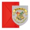 Harry Potter Hogwarts Houses party meghívó 6 db-os FSC