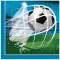 Focis Soccer Fans szalvéta 20 db-os 33x33 cm FSC