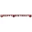 Pókember World of Webs Happy Birthday felirat FSC 2 m