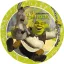 Shrek Adventure papírtányér 8 db-os 23 cm FSC